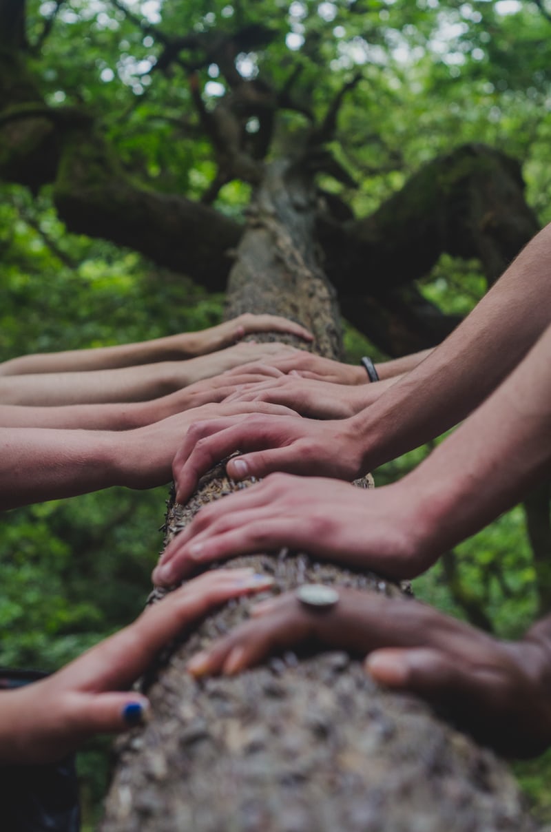 hands holding onto branch